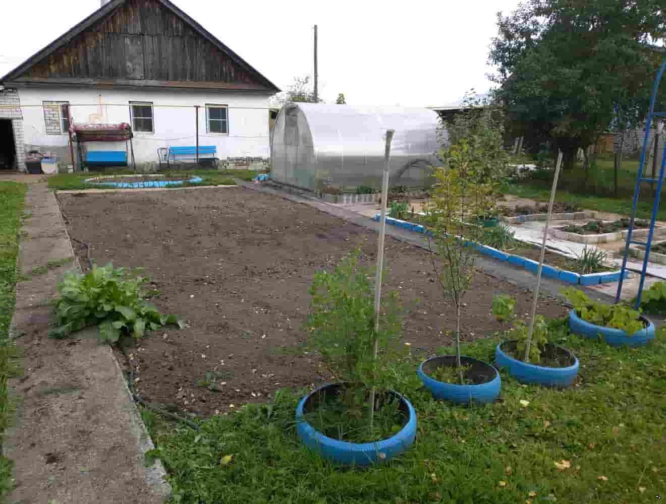 Купить Сад В Балахне Области